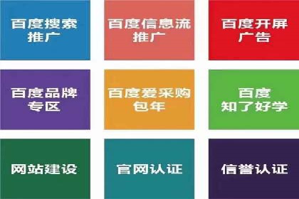 百度竞价与搜索引擎优化（SEO）结合的经典案例